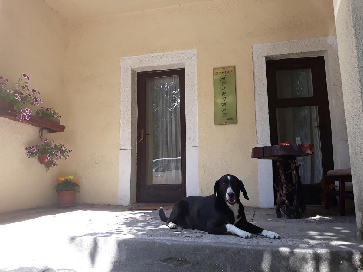 Apartman Centar Cetynia Zewnętrze zdjęcie