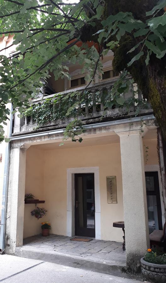 Apartman Centar Cetynia Zewnętrze zdjęcie